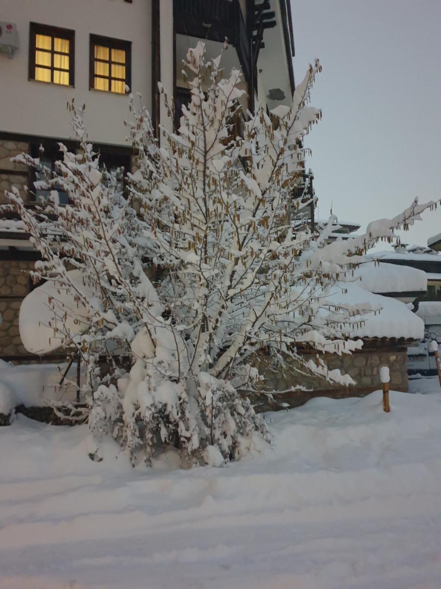 Dream Apart Hotel 207 Bansko Rum bild