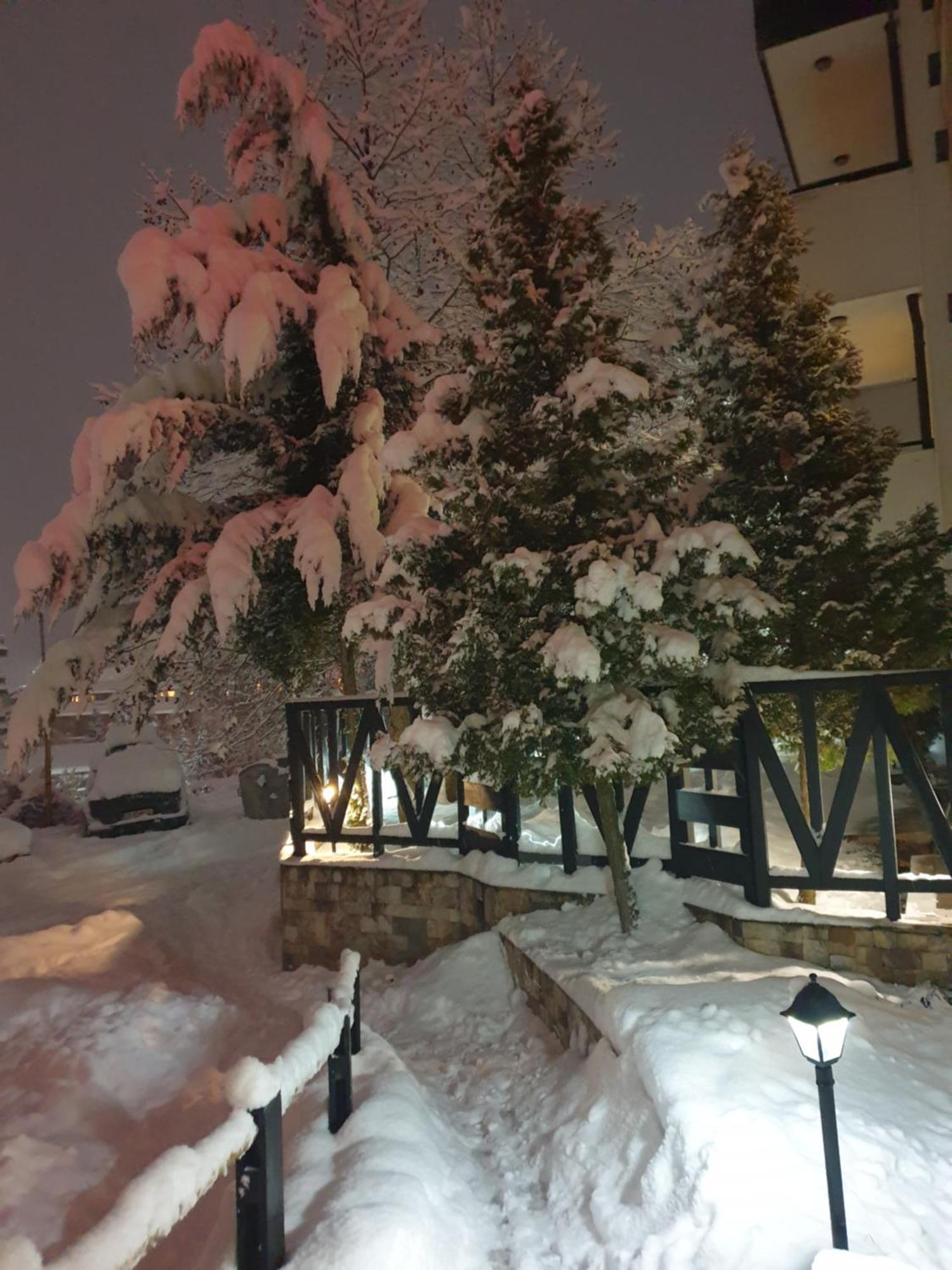 Dream Apart Hotel 207 Bansko Rum bild